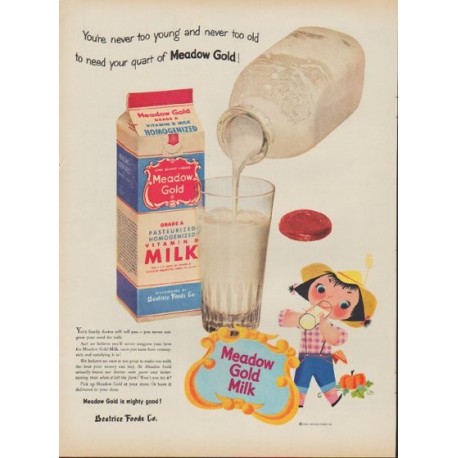 1953 Meadow Gold Ad "You're never too young"