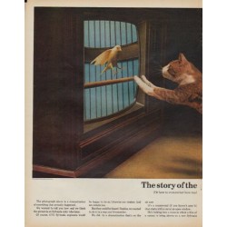 1971 Sylvania TV Ad "cat and the canary"