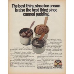 1971 Birds Eye Pudding Ad "The best thing since ice cream"