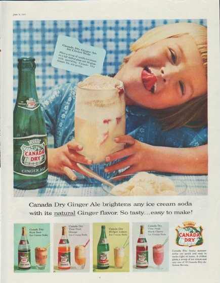 Canada Dry Ginger Ale soft drink