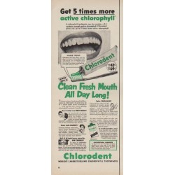 1952 Chlorodent Ad "5 times more"