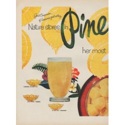 1952 Pineapple Growers Association Ad "Nature stores"