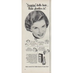 1951 Halo Shampoo Ad "Soaping dulls hair"