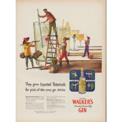 1951 Hiram Walker's Gin Ad "Imported Botanicals"