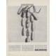 1963 Marine Midland Banks Ad "The Meat Packer"