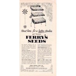 1953 Ferry-Morse Seed Co. Ad "Start Here"