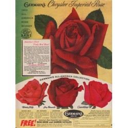 1953 Germain's Ad "Chrysler Imperial Rose"