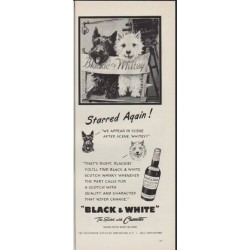 1952 Fleischmann Ad "Starred Again"