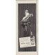 1954 White Horse Scotch Whisky Ad "This is the Scotch"