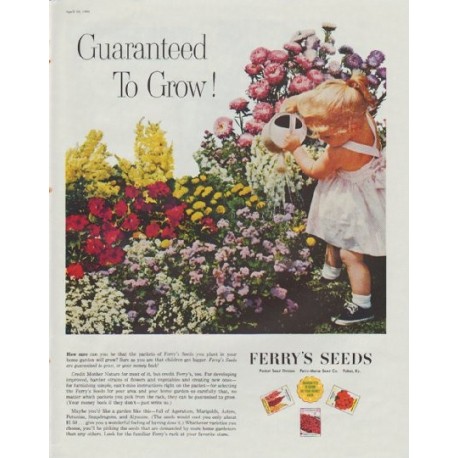 1961 Ferry's Seeds Ad "Guaranteed to Grow!"