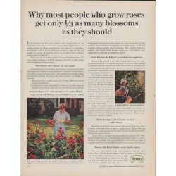 1961 Scotts Ad "people who grow roses"