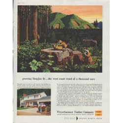 1958 Weyerhaeuser Timber Company Ad "growing Douglas fir"