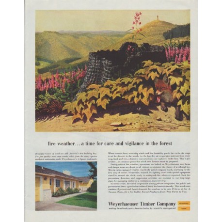 1958 Weyerhaeuser Timber Company Ad "fire weather"