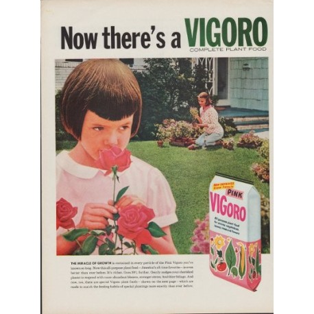 1960 Vigoro Plant Food Ad "Miracle Of Growth"