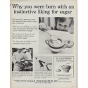 1960 Sugar Information, Inc. Ad "instinctive liking for sugar"