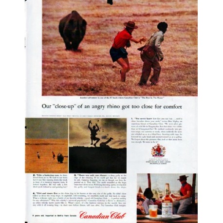 1961 Canadian Club Whisky Ad "angry rhino"