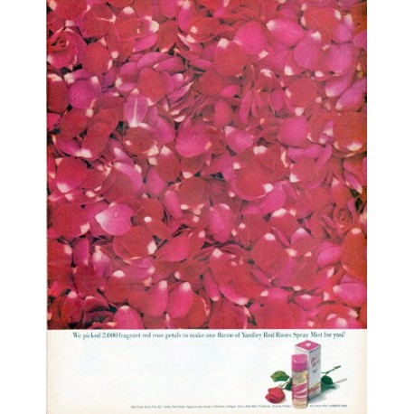 1961 Yardley Ad "2,000 fragrant red rose petals"