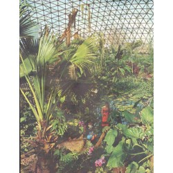 1961 Climatron Article "Midwestern Jungle"