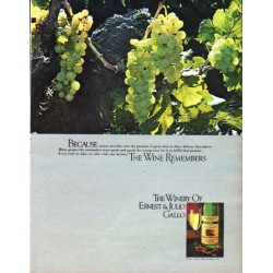 1979 Ernest & Julio Gallo Ad "nature provides"