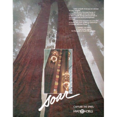 1979 Hyatt Hotels Ad "soar ... Capture The Spirit"