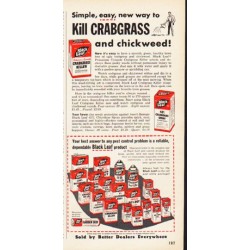 1953 Black Leaf Ad "Kill Crabgrass"