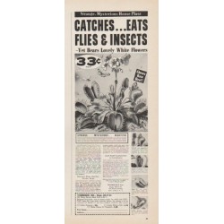 1961 Thoresen Ad "Eats Flies & Insects"