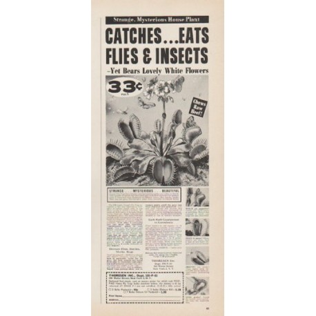 1961 Thoresen Ad "Eats Flies & Insects"