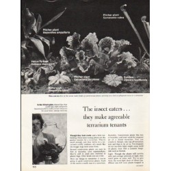 1976 Carnivorous Plants Article "The insect eaters"