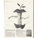 1961 Ladies' Home Journal Ad "apple of her eye"