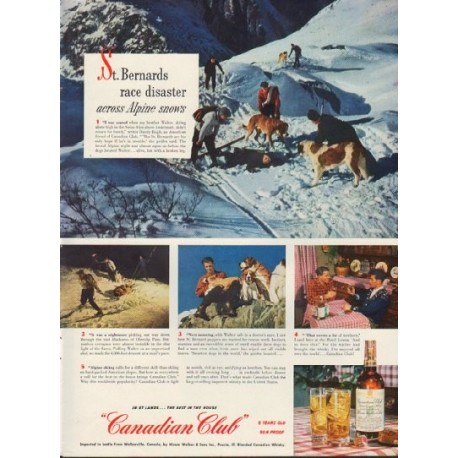 1950 Canadian Club Ad "St. Bernards race disaster across Alpine snows"