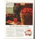 1958 Campbell's Soup Ad "color memory"
