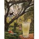 1965 Rums of Puerto Rico Ad "Daiquiri Collins"