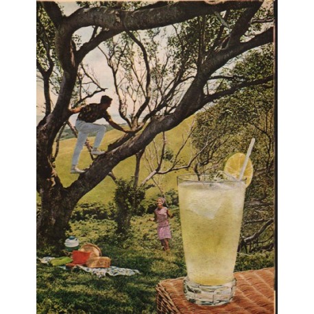 1965 Rums of Puerto Rico Ad "Daiquiri Collins"