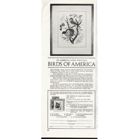 1964 Birds of America Ad ~ An American Home Portfolio
