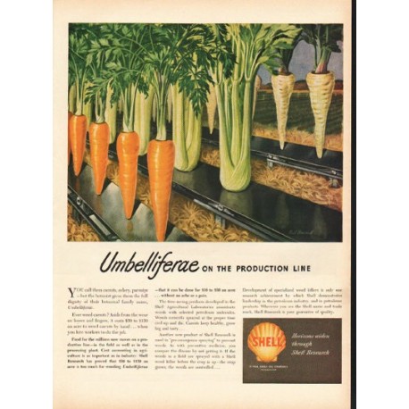 1948 Shell Oil Company Ad "Umbelliferae"