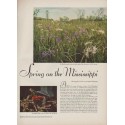 1949 Spring on the Mississippi Article "photos by Andreas Feininger"