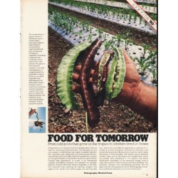 1980 Food For Tomorrow Article "odd pods"