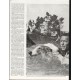 1964 The saga of Lassie Article ~ by Vernon Scott