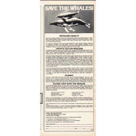 1980 Animal Cruelty Institute Ad "Save The Whales"
