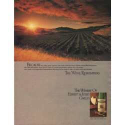 1980 Ernest & Julio Gallo Ad "Because"