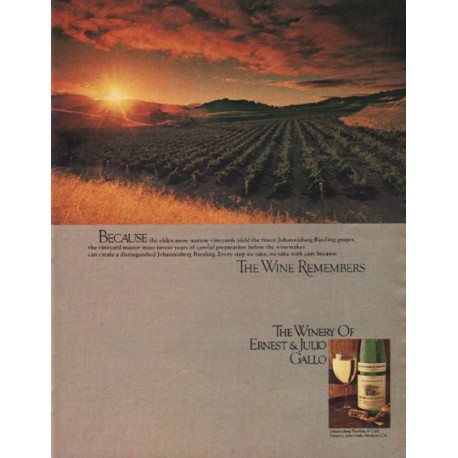1980 Ernest & Julio Gallo Ad "Because"