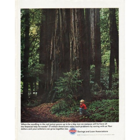 1965 Savings and Loan Associations Ad "seedling in the red jacket"
