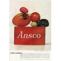 1961 Anscochrome Color Film Ad "color realism"