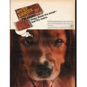 1966 Top Choice Dog Food Ad "Dogs think it's meat"