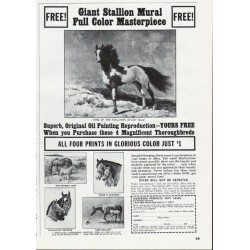 1966 Ridgewood Products Ad "Giant Stallion Mural"