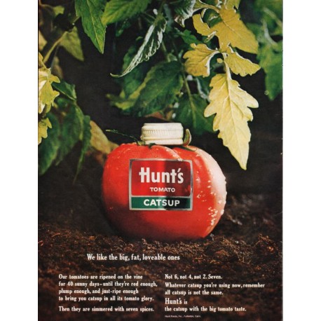 1963 Hunt's Tomato Catsup Ad "big, fat, loveable"