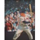 1962 Sears Ad "Why Sears signed Ted Williams"