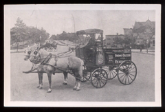 Bromo Seltzer Bromo Seltzer